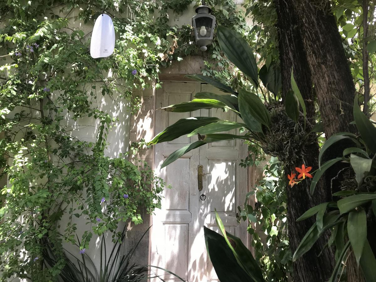 Hotel Fk San Miguel de Allende Exterior photo